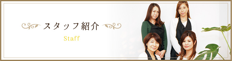 スタッフ紹介